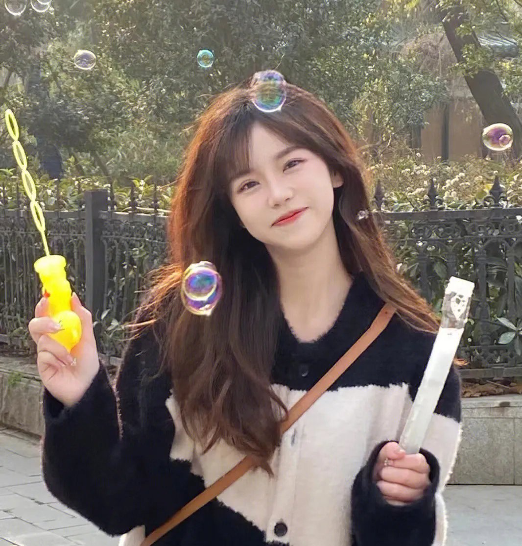 费德勒：最后的12天