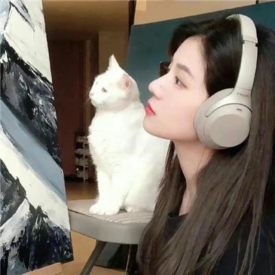 阴阳先生之末代天师